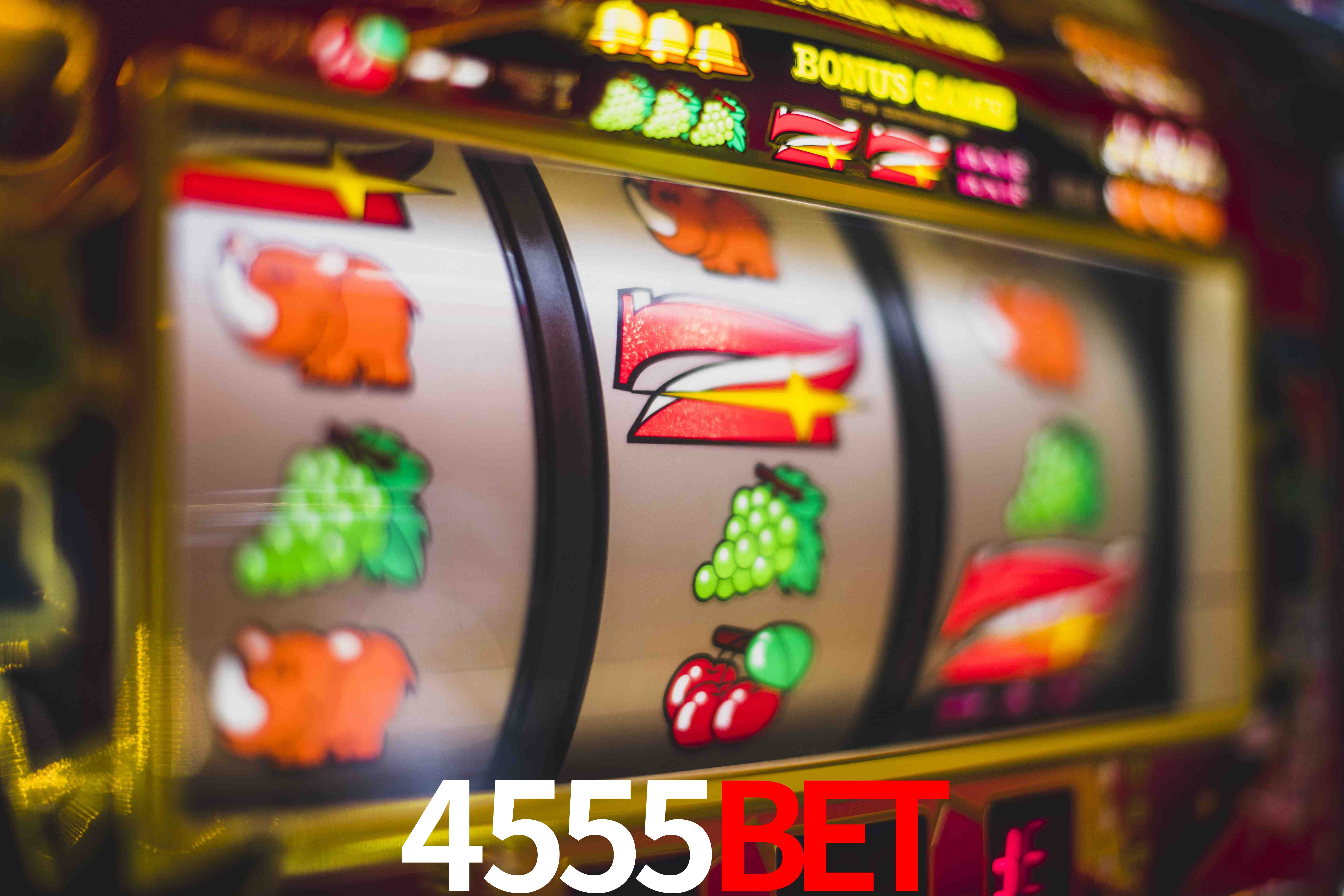 Experiência VIP 4555bet